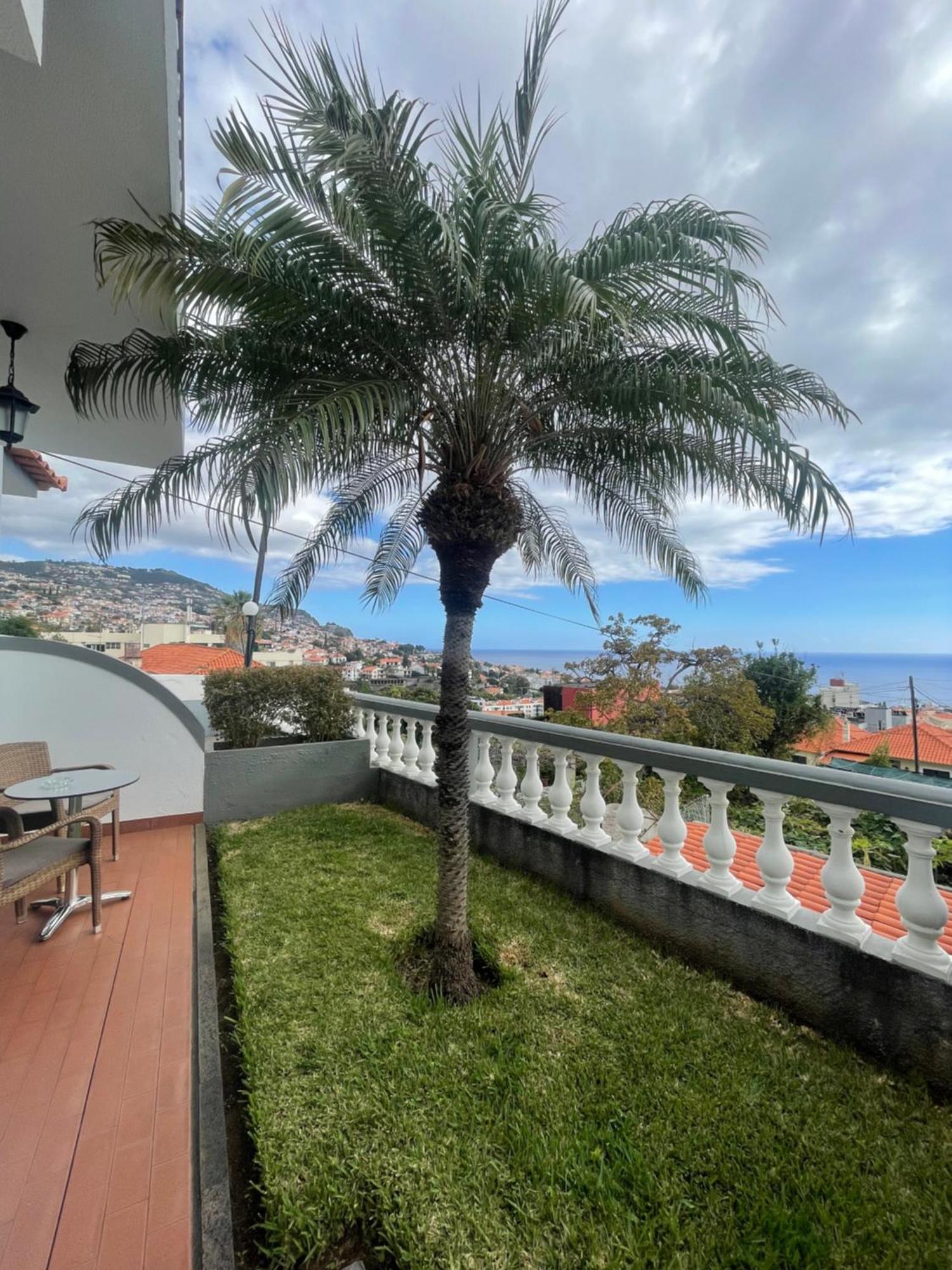 Valhalla Panorama - The Old Residencial Pina フンシャル 部屋 写真